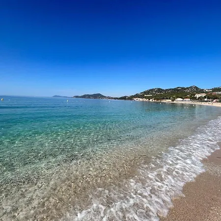 Apartman Cosy Hyper Centre Toulon